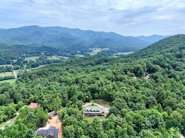 bird's eye view with a mountain view