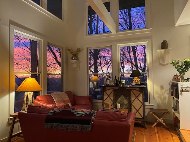 interior space featuring hardwood / wood-style floors and a high ceiling