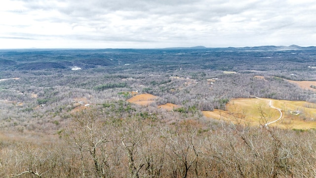 bird's eye view with a mountain view