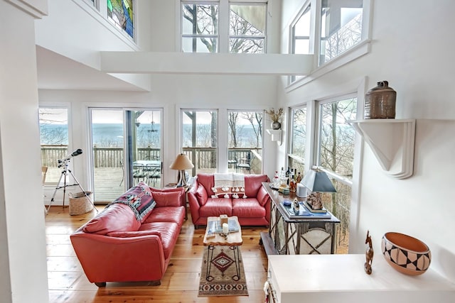 living room featuring a towering ceiling, a healthy amount of sunlight, and light hardwood / wood-style floors