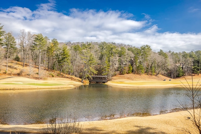 view of water feature