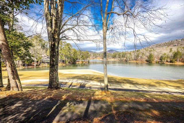 water view featuring a mountain view