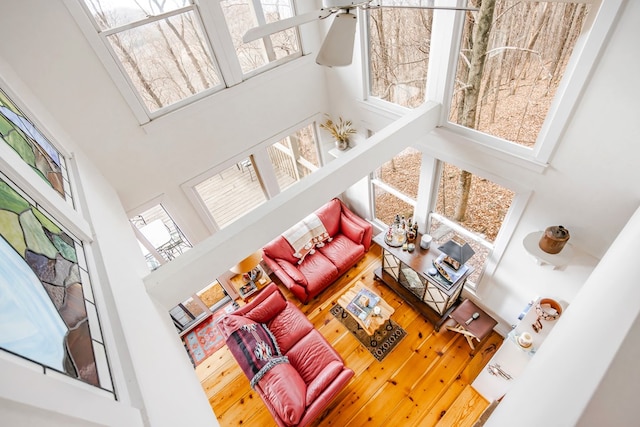 living room with a high ceiling and hardwood / wood-style floors