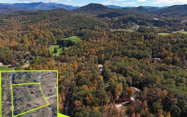 LT14 Fox Xing, Blairsville, GA 30512