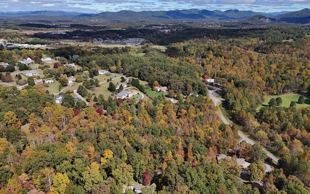 LT14 Fox Xing, Blairsville, GA 30512