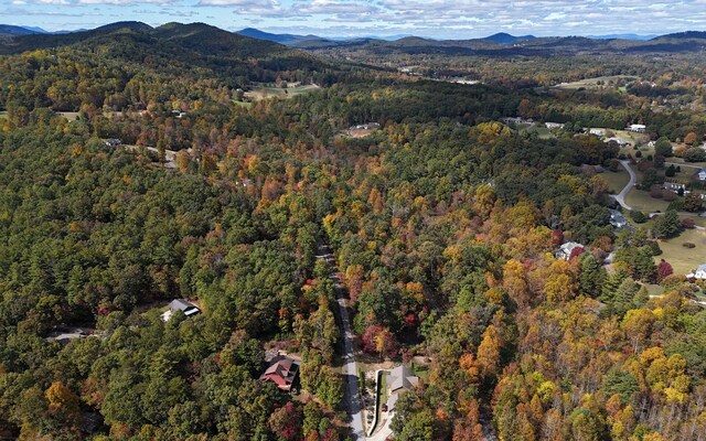 LT14 Fox Xing, Blairsville, GA 30512
