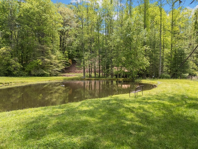 1172 Settlers Ridge Rd, Ellijay, GA 30540 - view of grassy yard with a water view