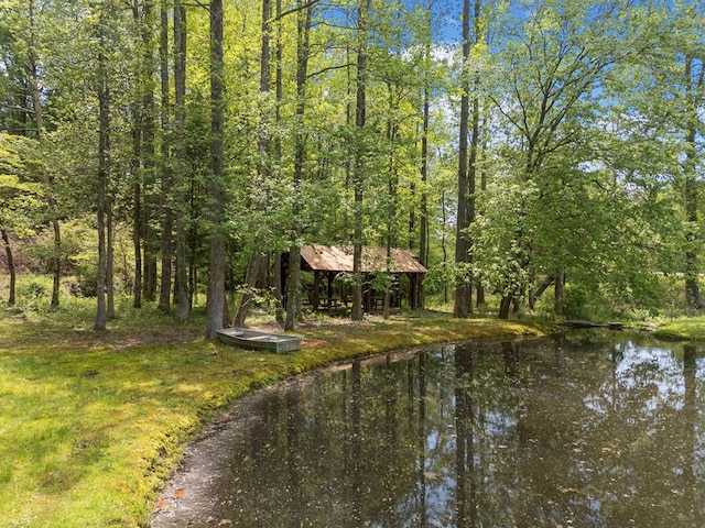 1172 Settlers Ridge Rd, Ellijay, GA 30540 - water view