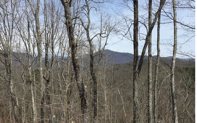 Listing photo 2 for LOT18 Fodder Creek Mill Rd, Hiawassee GA 30546