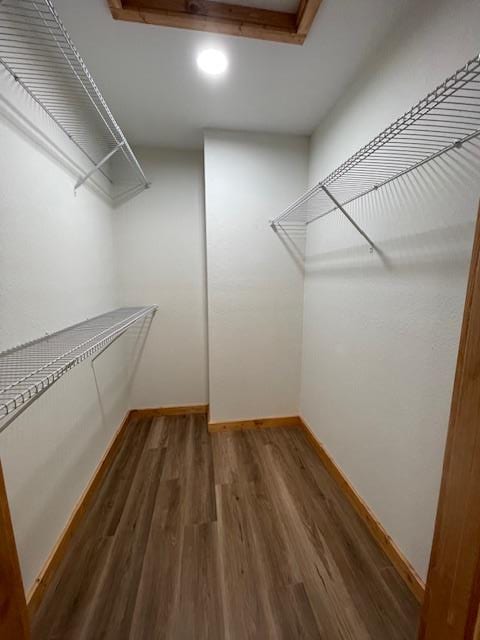 spacious closet with dark wood-type flooring