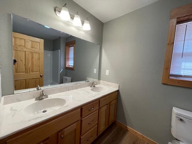 bathroom featuring vanity, toilet, and wood-type flooring