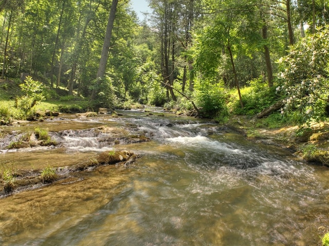 view of nature