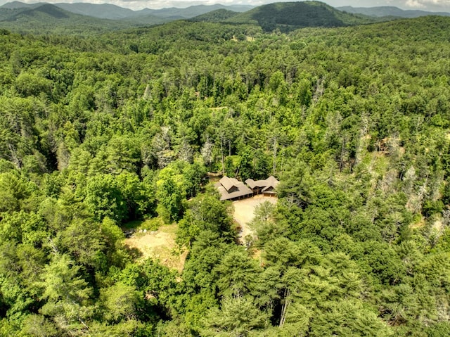 bird's eye view featuring a mountain view