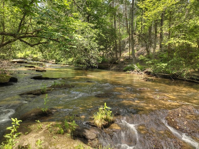 view of local wilderness