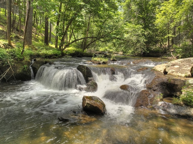 view of local wilderness