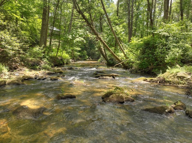 view of nature