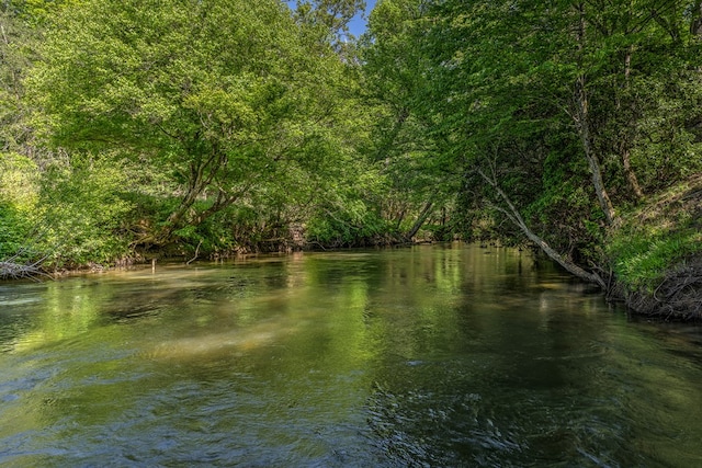 water view featuring a wooded view