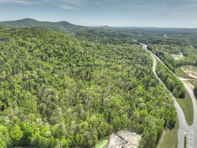 138.06AC N Hwy 515, Ellijay GA, 30540 land for sale