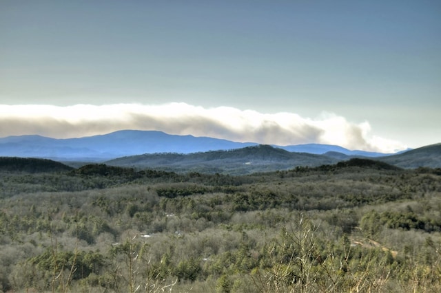 view of mountain feature