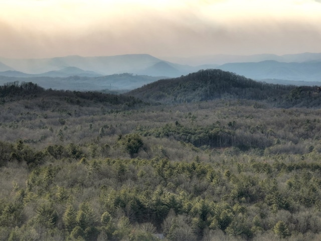 view of mountain feature with a forest view