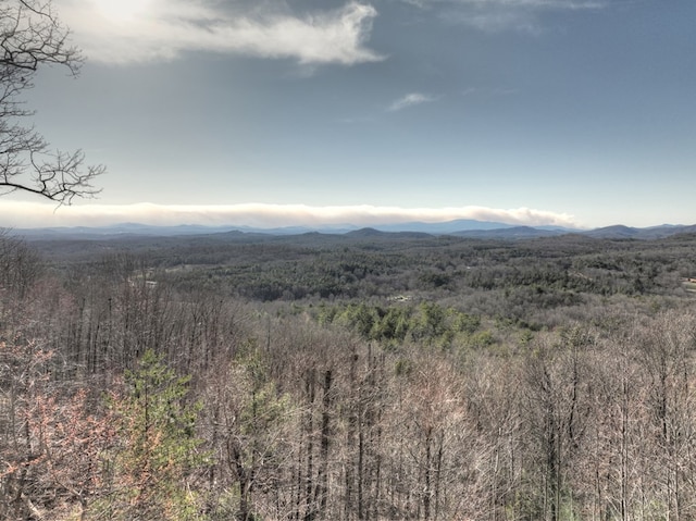 property view of mountains with a forest view