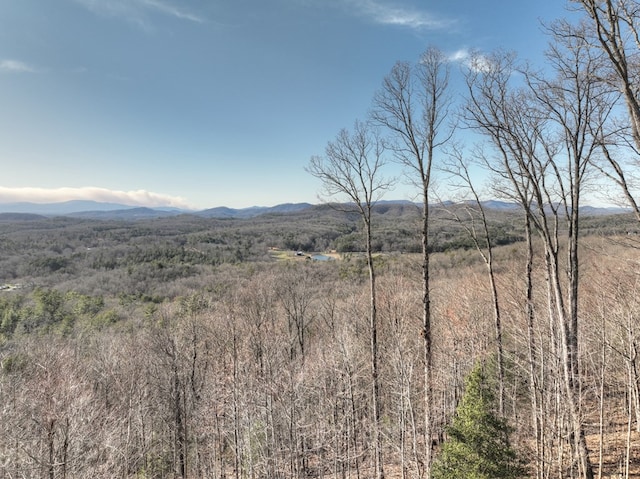 mountain view with a forest view