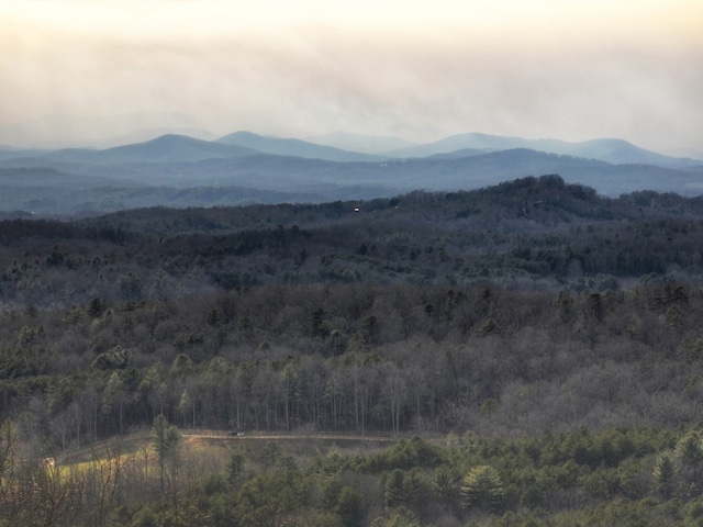 property view of mountains with a wooded view