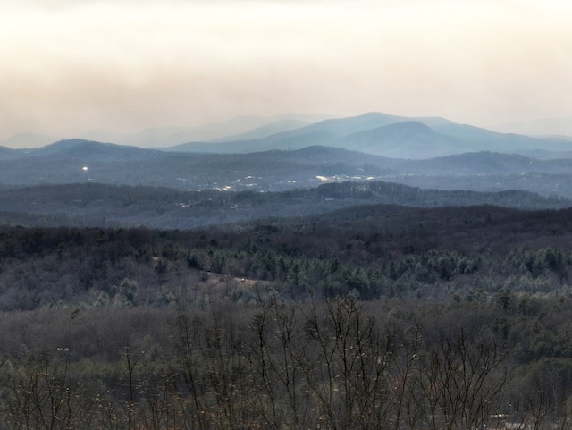 view of mountain feature featuring a forest view