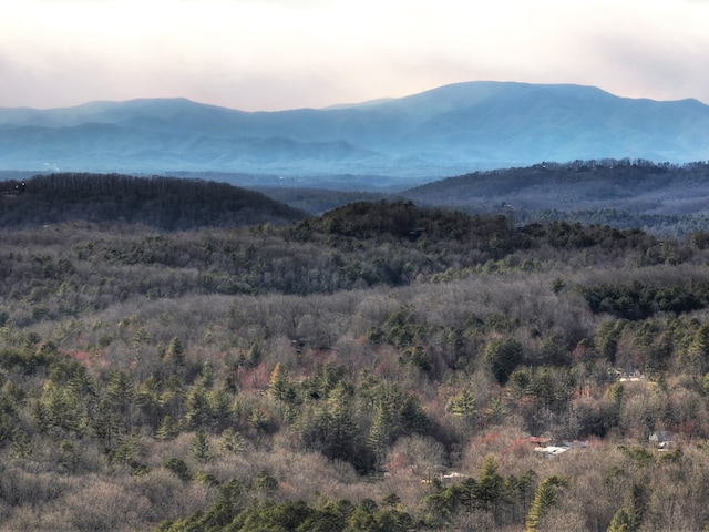 property view of mountains with a forest view