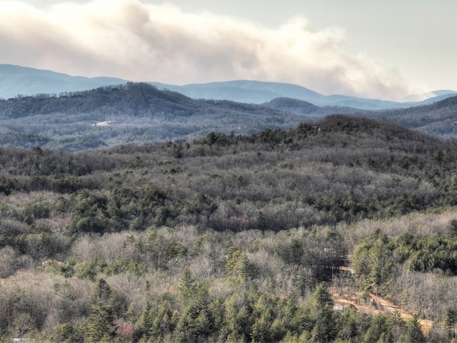 property view of mountains featuring a forest view