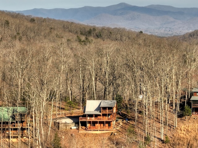 view of mountain feature featuring a wooded view