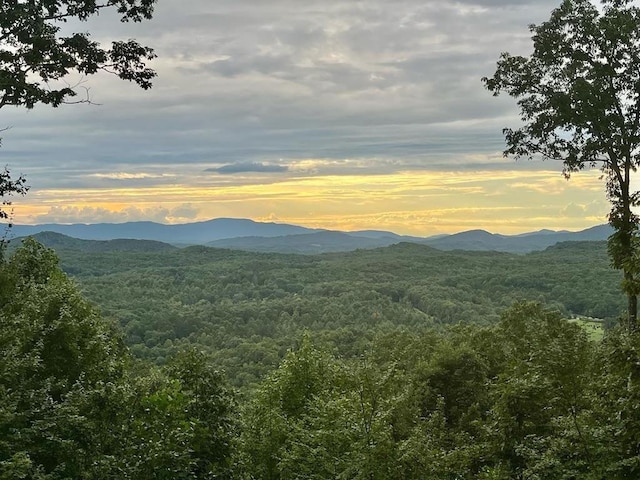 view of mountain feature featuring a view of trees