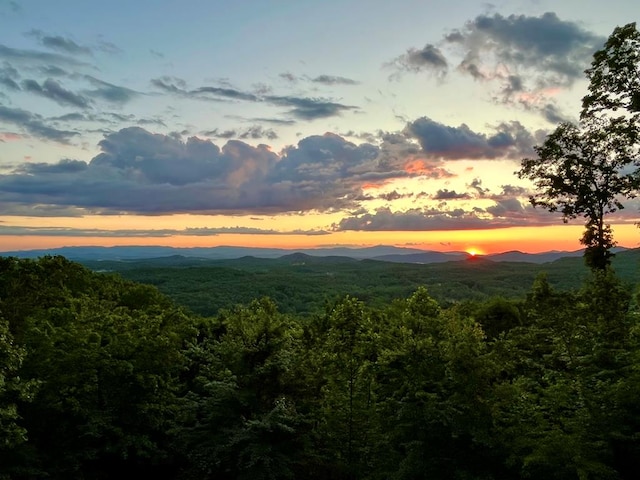 mountain view with a forest view