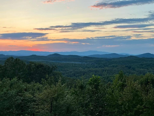 view of mountain feature featuring a forest view