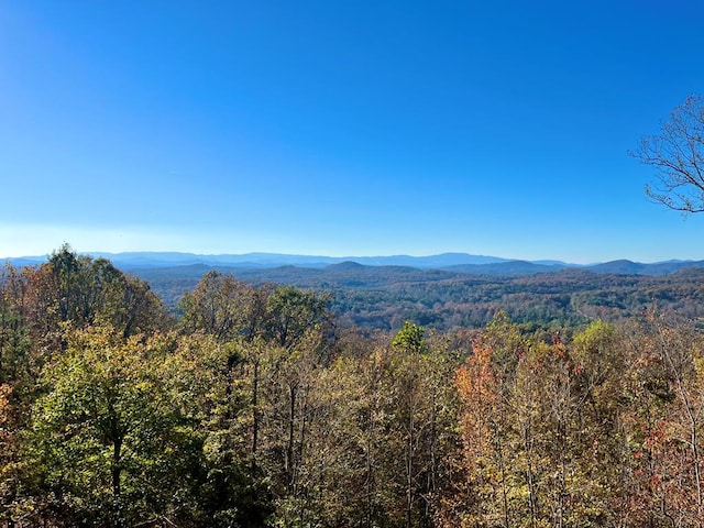 view of mountain feature with a forest view