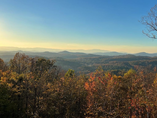 view of mountain feature featuring a wooded view