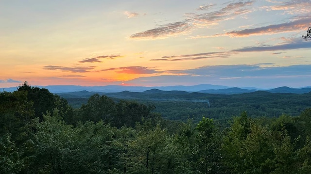 mountain view featuring a forest view