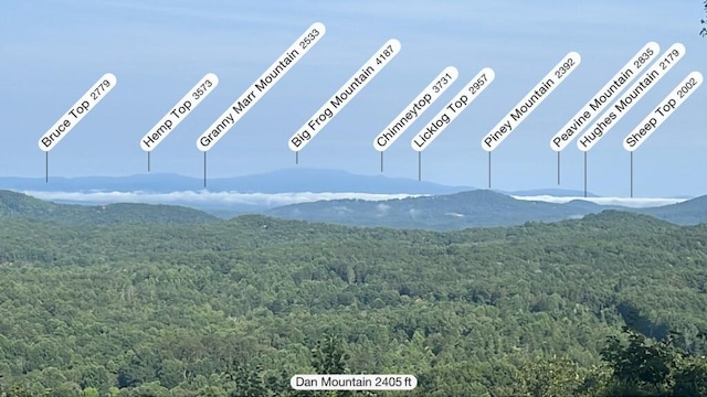 view of mountain feature featuring a wooded view