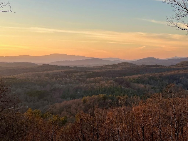 view of mountain feature with a wooded view