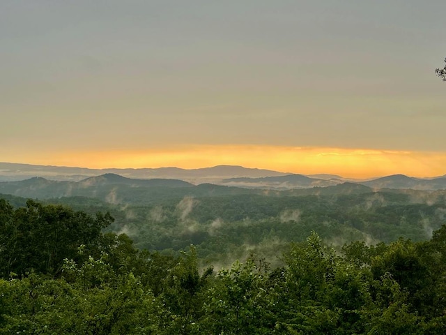 view of mountain feature