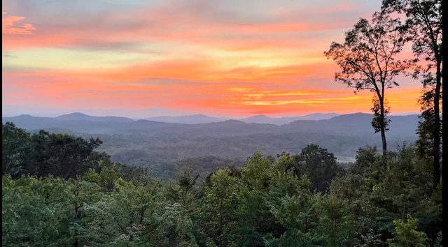 mountain view with a wooded view