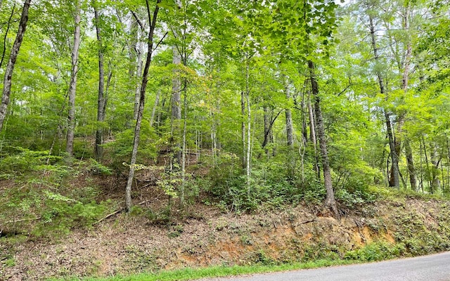 Listing photo 2 for 3.85AC Old Aska Rd S, Blue Ridge GA 30513