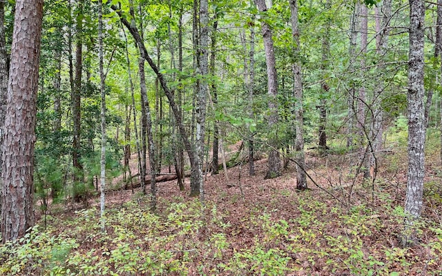 Listing photo 3 for 3.85AC Old Aska Rd S, Blue Ridge GA 30513