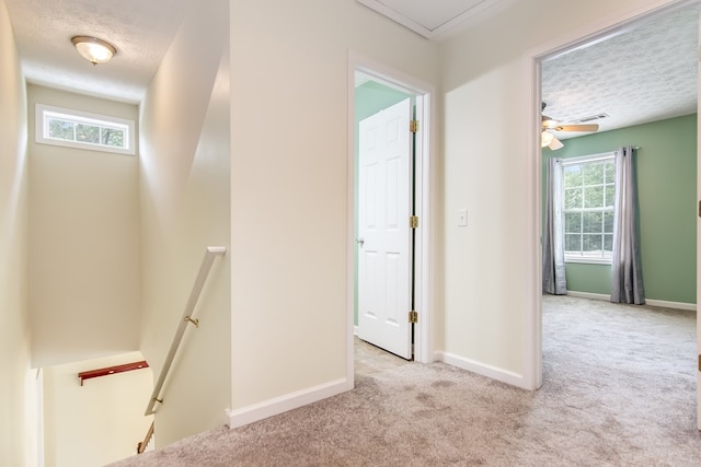 421 Burgess Rd, Ellijay, GA 30540 - hall with an upstairs landing, carpet, baseboards, and a textured ceiling