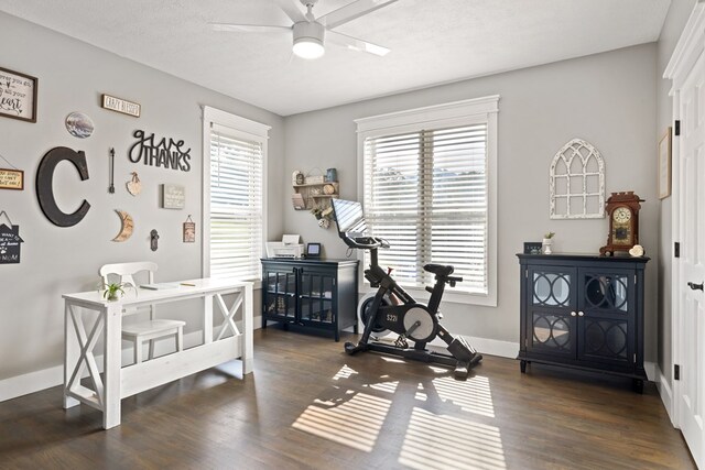 429 Sneaking Creek Dr, Hayesville, NC 28904 - workout room with a ceiling fan, dark wood-style floors, and baseboards