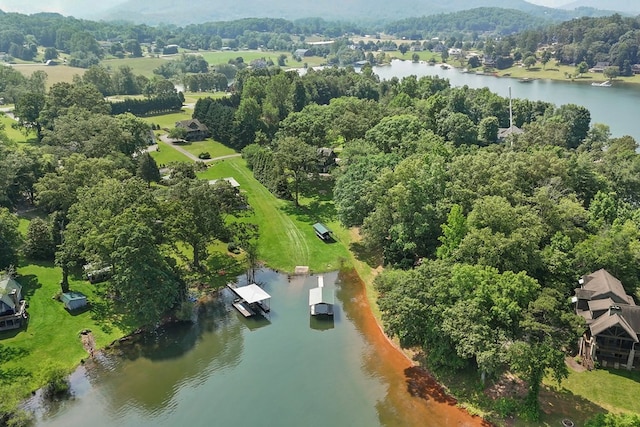 429 Sneaking Creek Dr, Hayesville, NC 28904 - aerial view of a nearby body of water