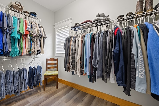 429 Sneaking Creek Dr, Hayesville, NC 28904 - spacious closet with wood finished floors