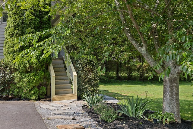 429 Sneaking Creek Dr, Hayesville, NC 28904 - view of grassy yard featuring stairs