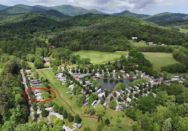 201 Kole Dr, Blairsville, GA 30512 - aerial view of a forest and a water and mountain view