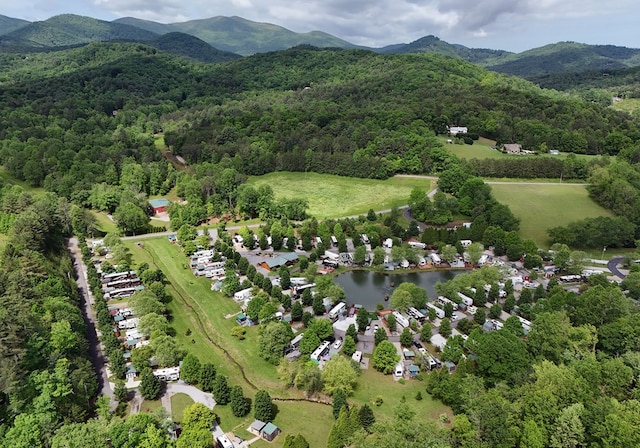 201 Kole Dr, Blairsville, GA 30512 - aerial view of a forest and a water and mountain view